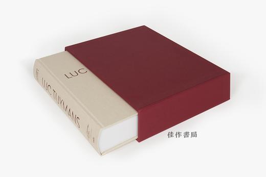 Luc Tuymans Catalogue Raisonne of Paintings: Volume 2 1995–2006 吕克·图伊曼斯：绘画全集 第二卷：1995–2006 商品图3