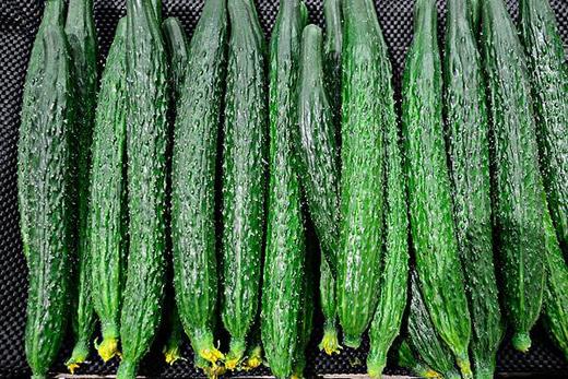 黄瓜2斤起售（整个出售，按实际重量为准，多退少补） 商品图1