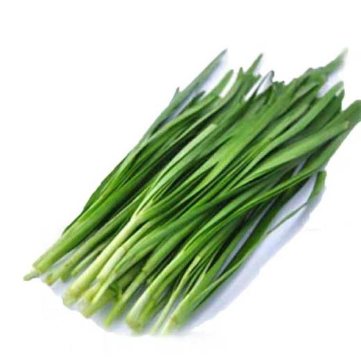 韭菜  500g 商品图0
