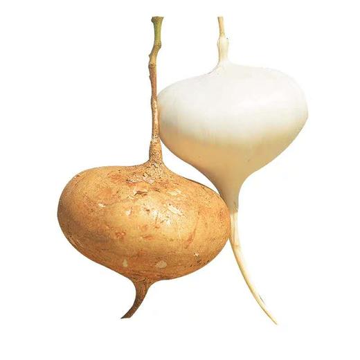 凉薯 （2.5元1斤，约2斤/个） 商品图0