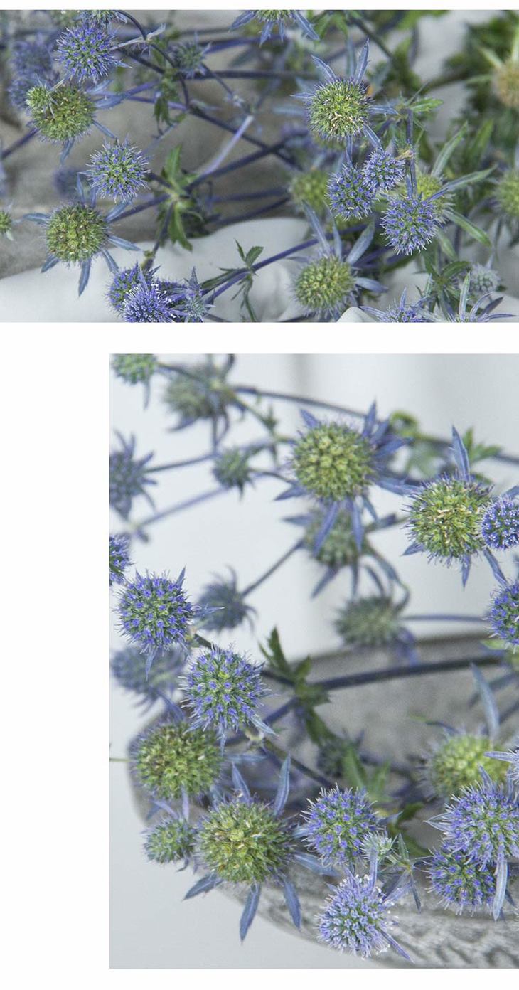 昆明鲜花情人果500克