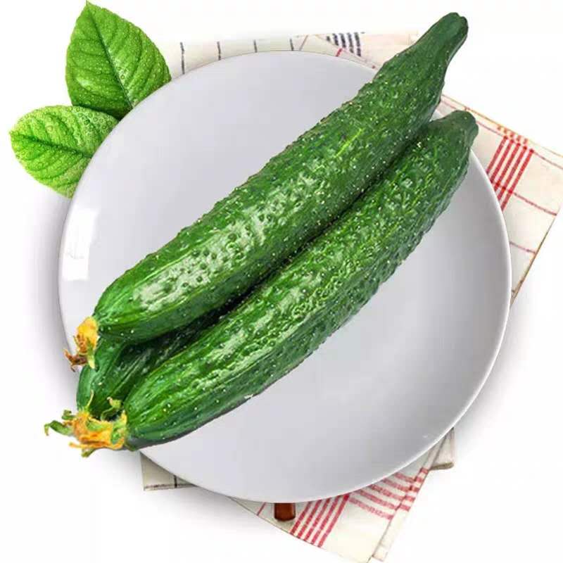 青瓜  500g