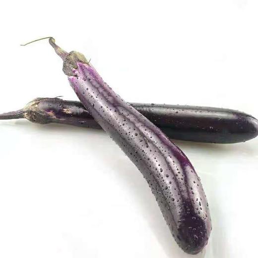 茄子  500g 商品图0