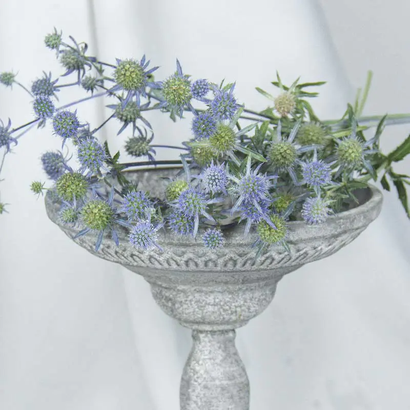 昆明鲜花情人果,500克