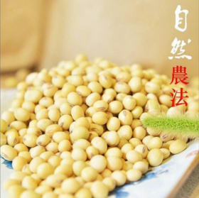 种子 一斤