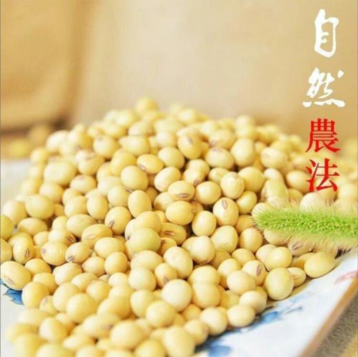 种子 一斤 商品图0