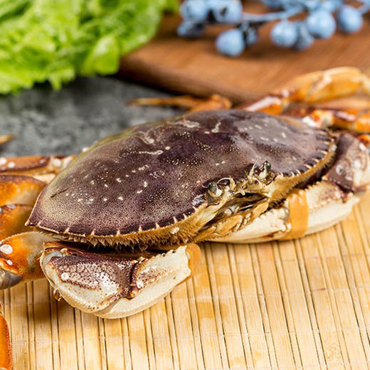 活活珍宝蟹1kg11kg只