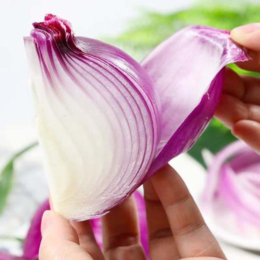 洋葱  500g 商品图1