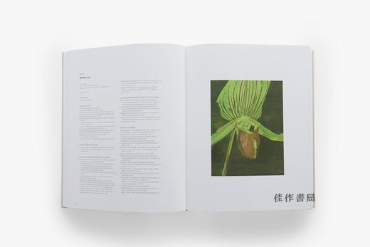 Luc Tuymans Catalogue Raisonne of Paintings: Volume 2 1995–2006 吕克·图伊曼斯：绘画全集 第二卷：1995–2006 商品图4