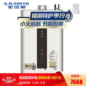 史密斯 (A.O.SMITH) 16升燃气热水器 家用 智能静音 零冷水 水箱8年包换 JSQ31-VJSX(天然气)
