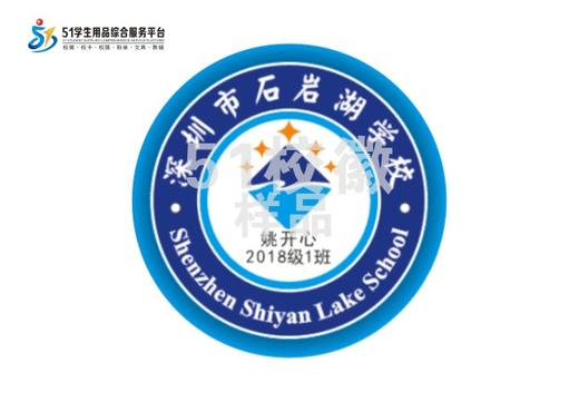 定制深圳市宝安区石岩湖学校中小学部包边校徽贴章缝制包邮51 商品图0
