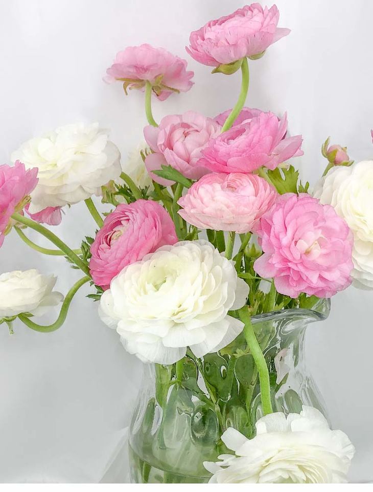 昆明鲜花混色洋牡丹20枝