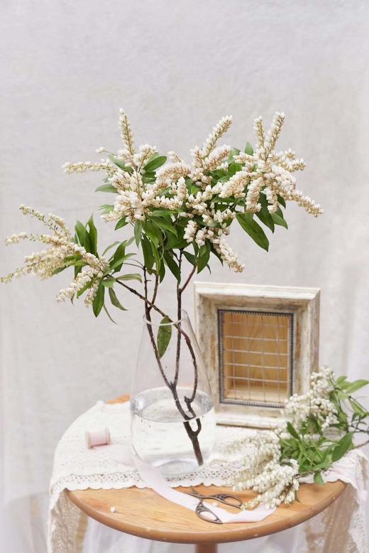 【似雪小铃铛】山里白 若干枝/扎 商品图1