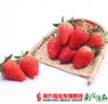 【珠三角包邮】丹东红颜有机草莓 300-400g/ 盒   2盒/份 商品缩略图0