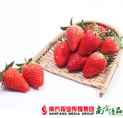 【珠三角包邮】丹东红颜有机草莓 300-400g/ 盒   2盒/份 商品图0