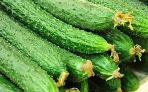 黄瓜2斤起售（整个出售，按实际重量为准，多退少补） 商品图0