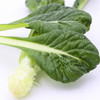 有机塔菇菜 商品缩略图4