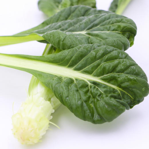 有机塔菇菜 商品图4