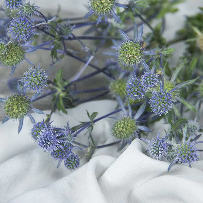 昆明鲜花情人果,500克