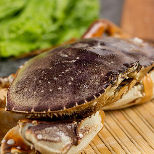 活活珍宝蟹1kg11kg只