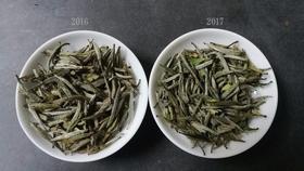 [第51期]方守龙2016、17银针对冲（福鼎白茶 | 时空穿梭）