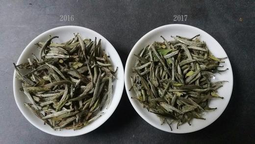 [第51期]方守龙2016、17银针对冲（福鼎白茶 | 时空穿梭） 商品图0