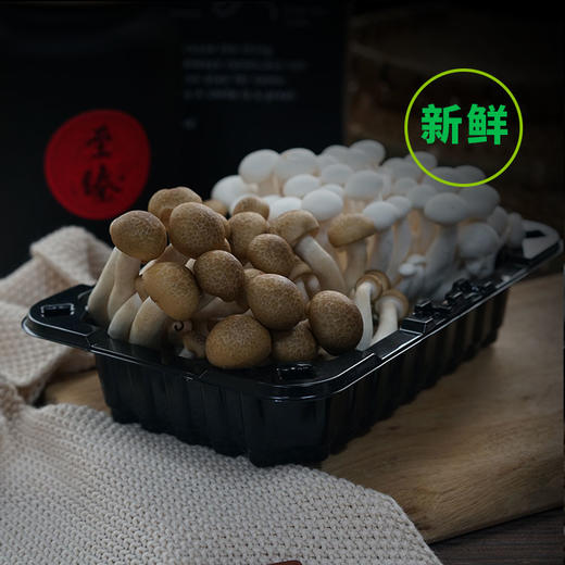 白玉菇（150g/袋） 商品图2