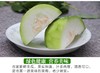 冬瓜 约500克 商品缩略图3
