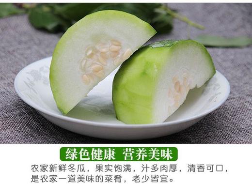 冬瓜 约500克 商品图3