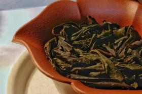 [第67期]2017大坑口素心兰（武夷岩茶 | 蜜韵兰香）