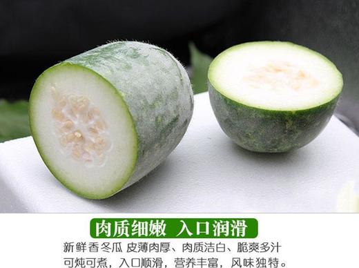 冬瓜 约500克 商品图2