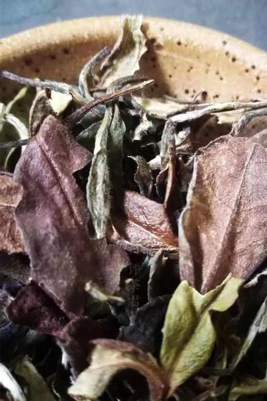 [第59期]方守龙2012年五年陈秋牡丹茶（福鼎白茶 | 秋香韵长） 商品图0