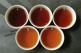 [第62期]2017内鬼洞奇种（武夷岩茶 | 气韵饱满）