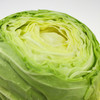 酸包菜 约500克 商品缩略图1