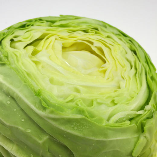 酸包菜 约500克 商品图1