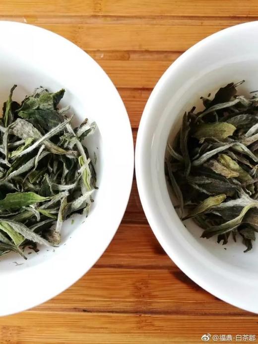 [第53期]方守龙春牡丹茶特级2016VS2017（福鼎白茶 | 妙趣横生） 商品图0