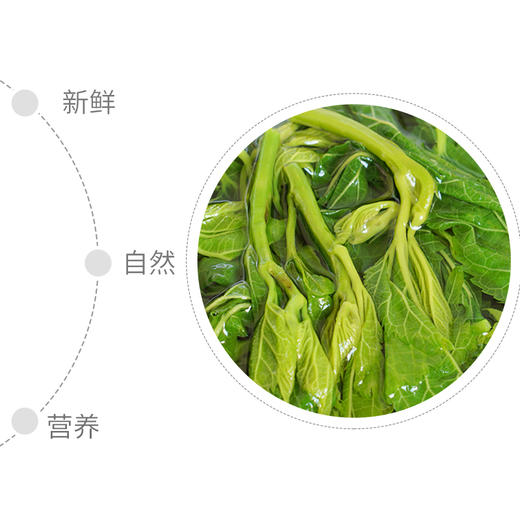 【包邮】广东英德嫩桑芽菜 速冻桑叶农村特色菜丨5包/10包装（只发广东省） 商品图5