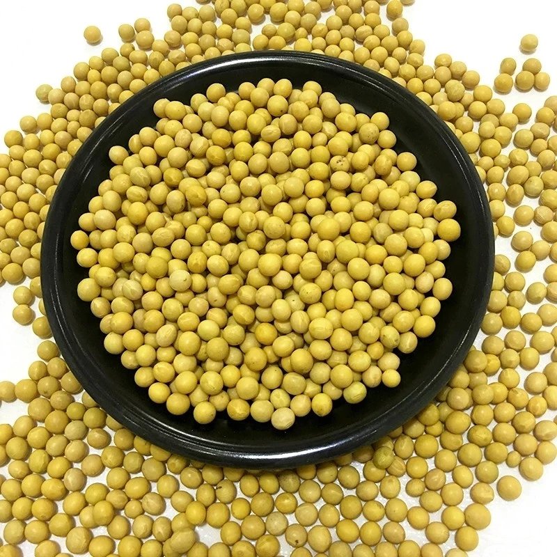 东北大豆 500g/5kg