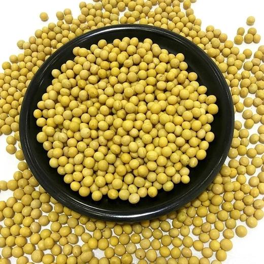 东北大豆 500g/5kg 商品图0