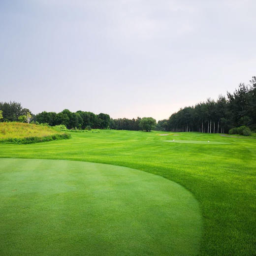 北京森林假日高尔夫俱乐部 Beijing Forrest Holiday Golf Club | 大兴 球场 | 北京 | 中国 商品图2