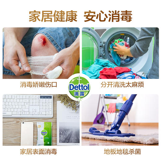 滴露Dettol 消毒液1.2L  杀菌除螨 儿童宝宝内衣 家居室内 宠物环境消毒 消毒水 衣物除菌剂 商品图5