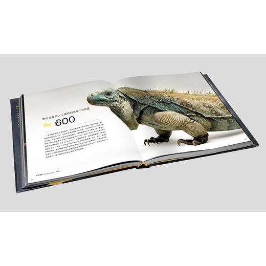 National Geographic美国國家地理“影像方舟”：珍稀动物全书 商品图7