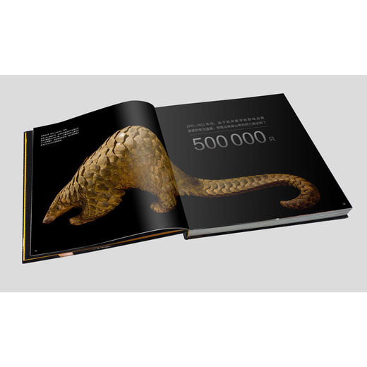 National Geographic美国國家地理“影像方舟”：珍稀动物全书 商品图3