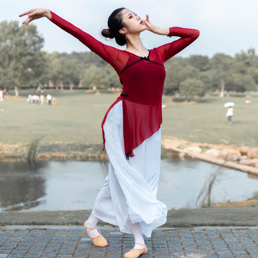 古典舞身韵舞蹈纱衣练功服女成人形体舞服装上衣民族舞秧歌演出服zr