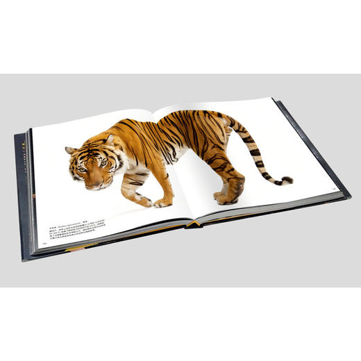 National Geographic美国國家地理“影像方舟”：珍稀动物全书 商品图5