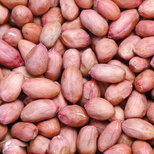 大花生 500g/5kg 商品图1