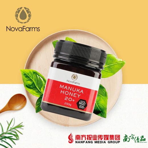 【全国包邮】星官庄麦卢卡蜂蜜 20+ (250g/瓶) 商品图3