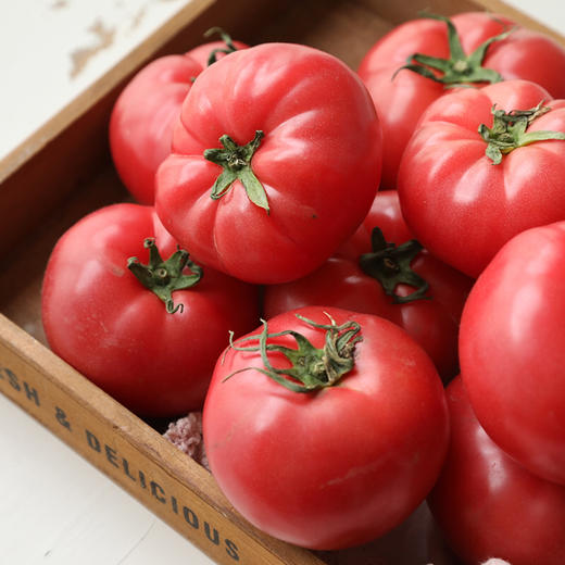 普罗旺斯水果西红柿京东快递包邮【从陕西发货】