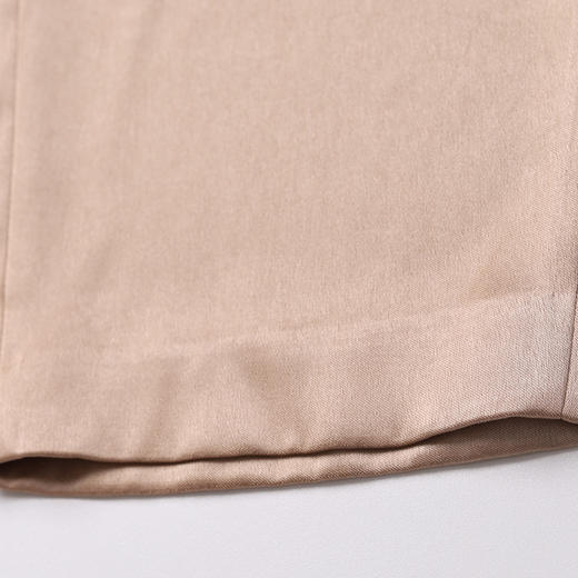 EITIE爱特爱新款时尚通勤简约百搭珠光缎面休闲小脚裤女6105822 商品图5