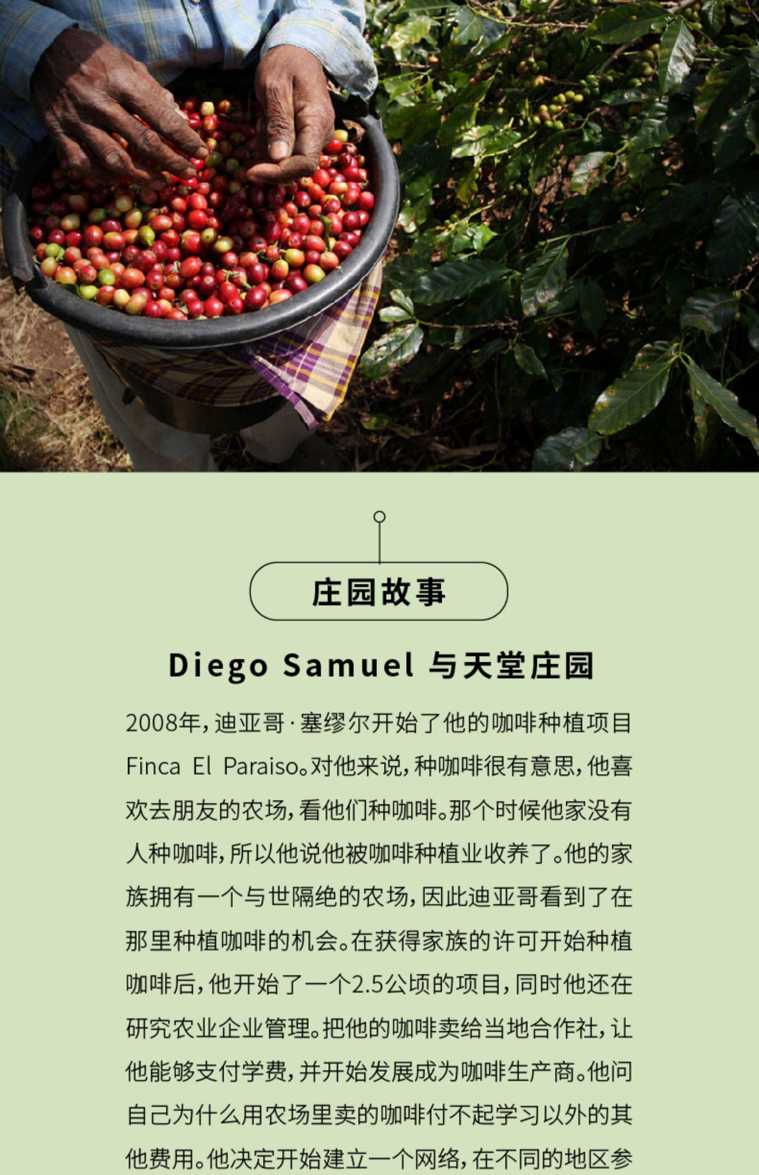 明谦咖啡哥伦比亚天堂庄园咖啡豆双重厌氧水洗手冲咖啡豆100g